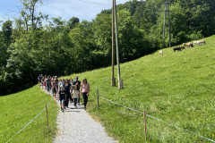 thumbnail_IMG_0300