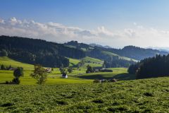 09__20170925-Speicher-Herbst-0002